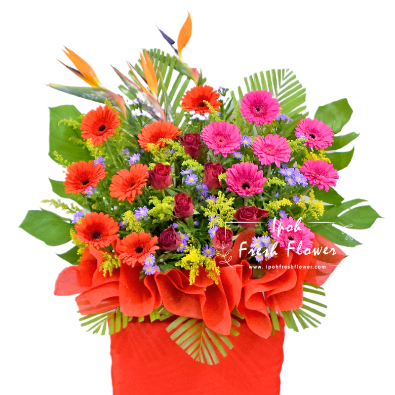 Ascension| Fresh Flower Grand Opening Stand| Same Day Delivery