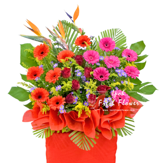 Ascension| Fresh Flower Grand Opening Stand| Same Day Delivery