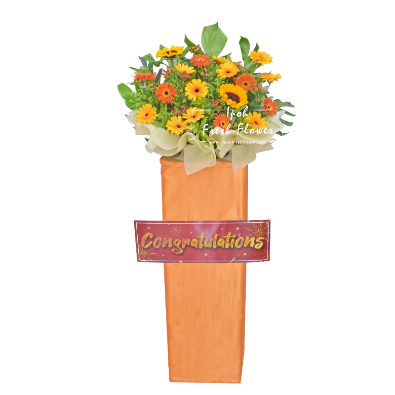 Best Future| Fresh Flower Grand Opening Stand| Same Day Delivery