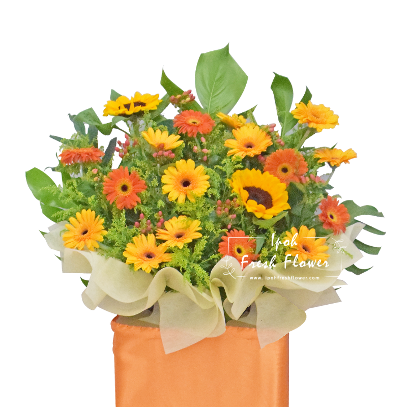 Best Future| Fresh Flower Grand Opening Stand| Same Day Delivery