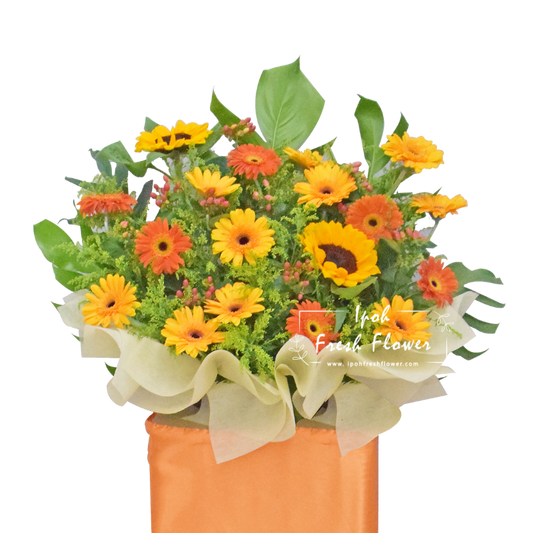 Best Future| Fresh Flower Grand Opening Stand| Same Day Delivery