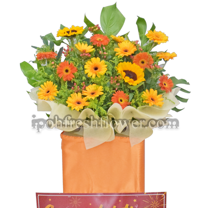 Best Future| Fresh Flower Grand Opening Stand| Free Delivery