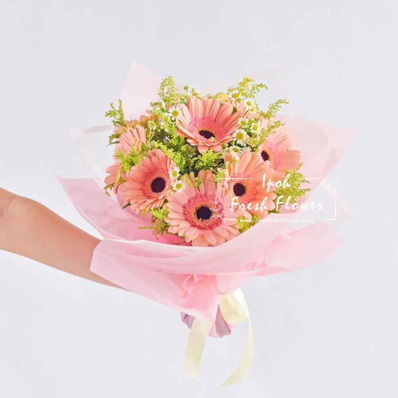 Blush Blooms| Daisy Fresh Flower Bouquet Delivery