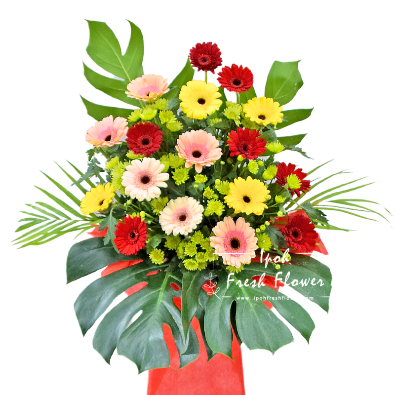 Brighter Start| Fresh Flower Grand Opening Stand| Same Day Delivery