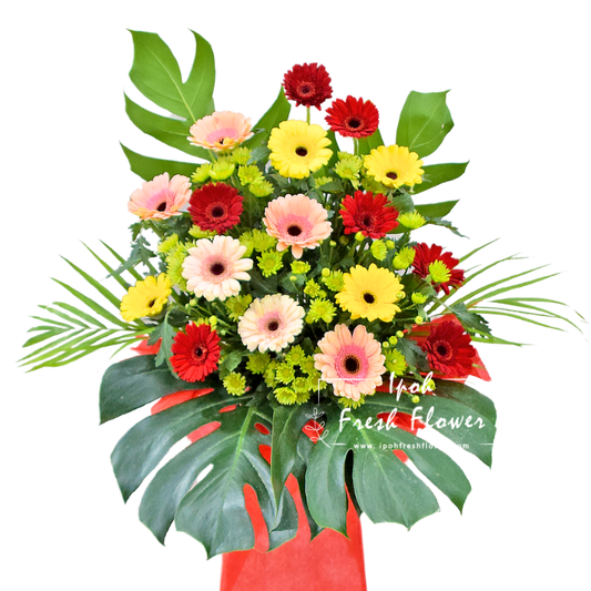 Brighter Start| Fresh Flower Grand Opening Stand| Same Day Delivery