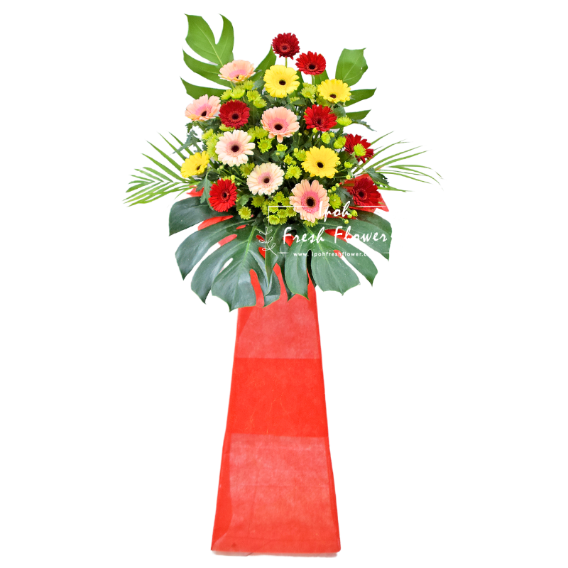 Brighter Start| Fresh Flower Grand Opening Stand| Same Day Delivery