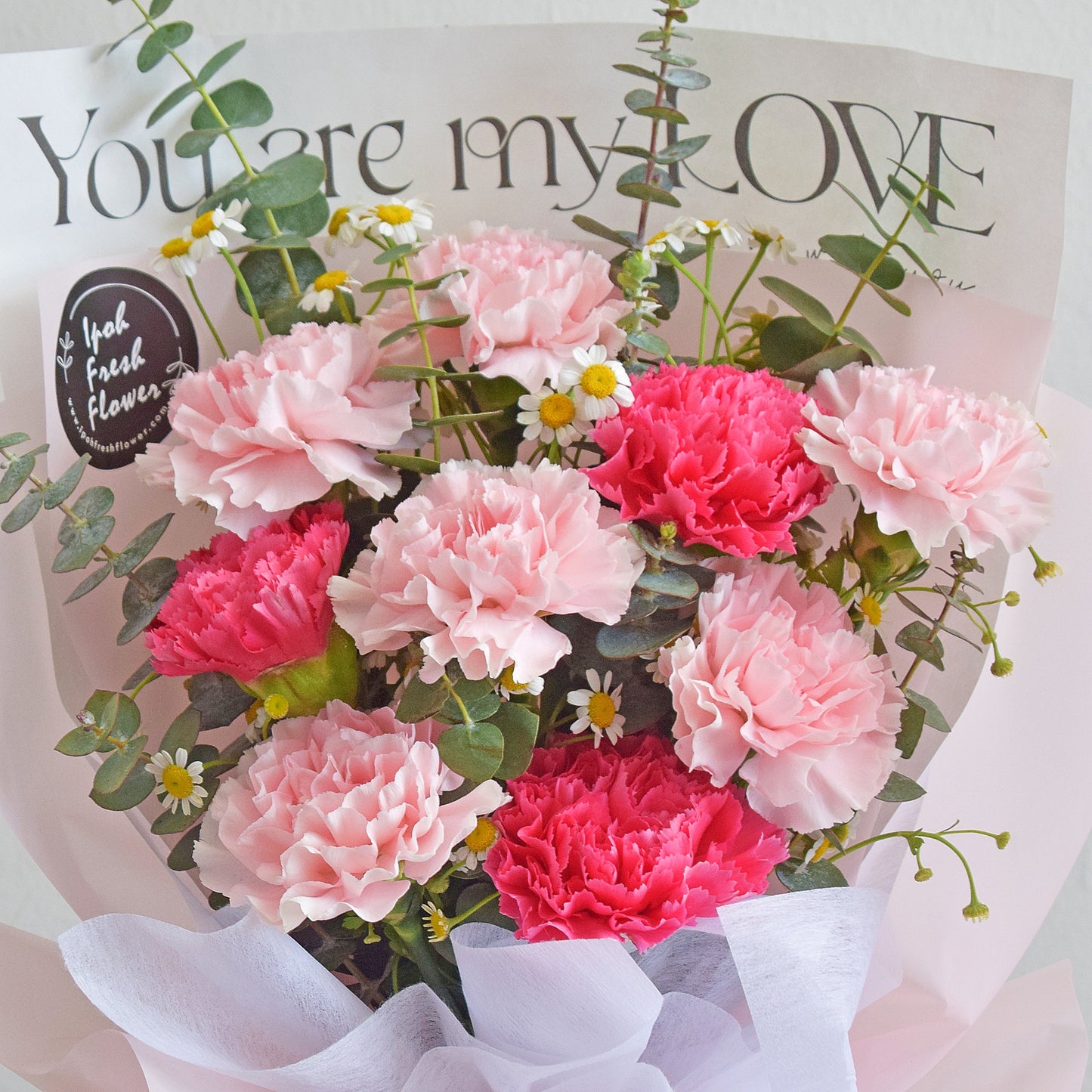 Mother's Day Special Freya| Carnation Fresh Flower Bouquet| Same Day Delivery