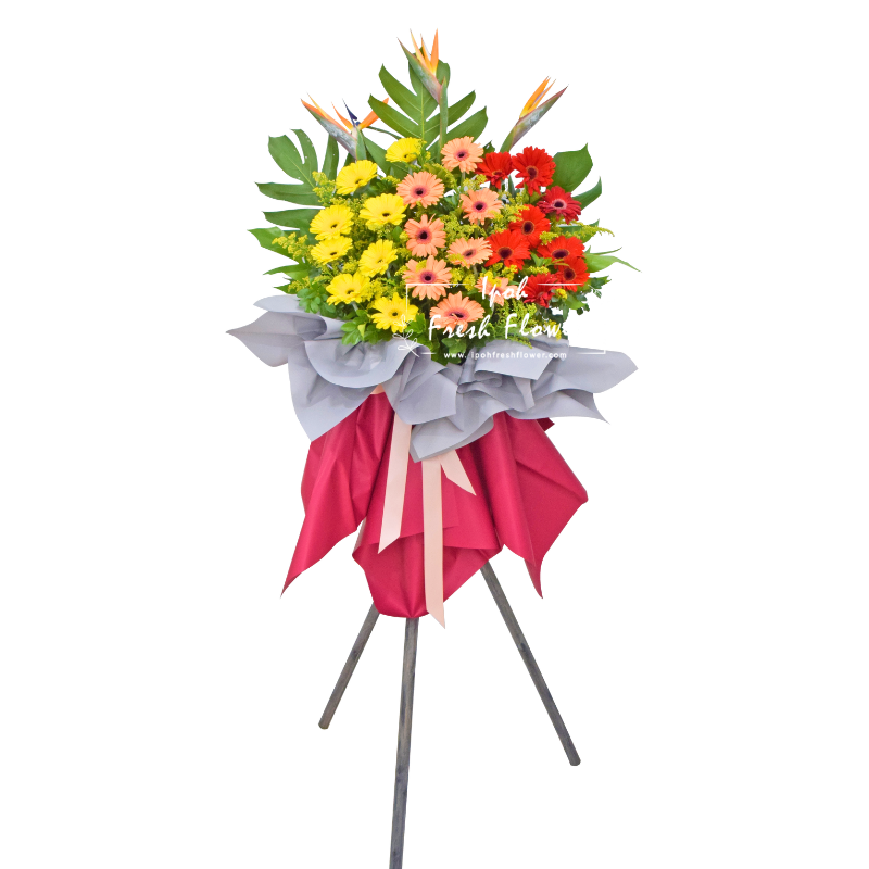 Joyful| Fresh Flower Grand Opening Stand