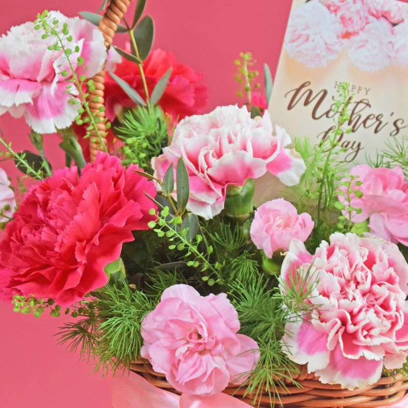 Mother's Day Special Linora | Carnation Fresh Flower Basket | Same Day Delivery