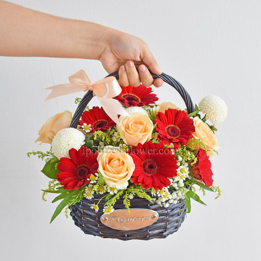 Macie| Fresh Flower Basket| Same Day Delivery