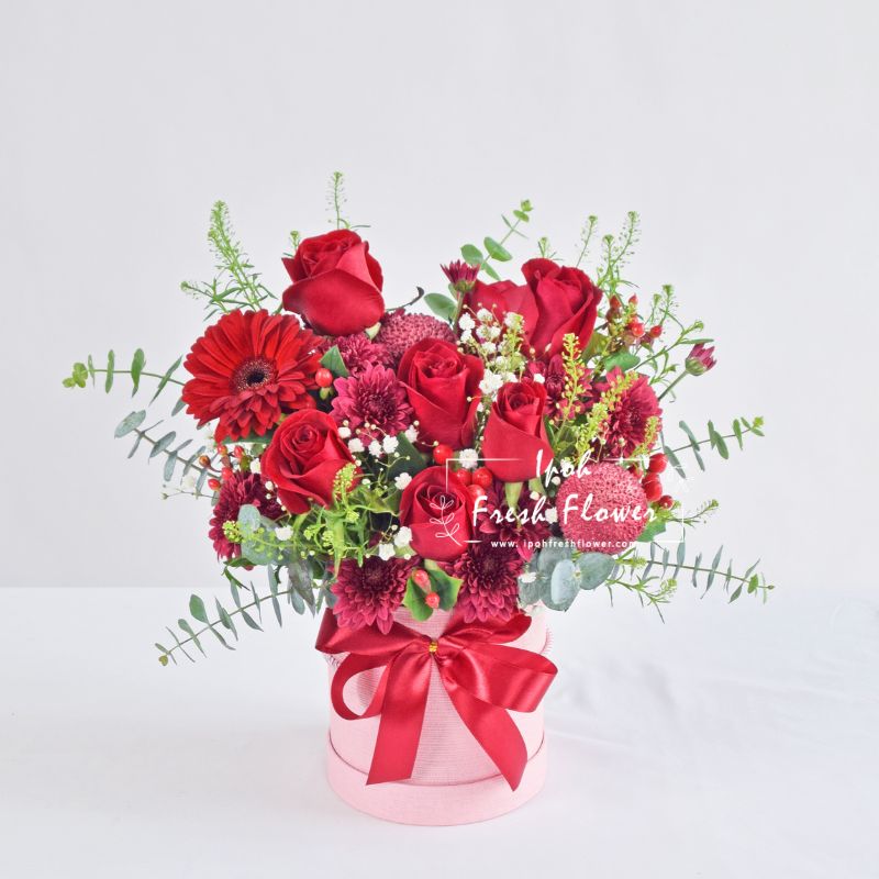 Monica Gift Bundle | Same Day Delivery Ipoh