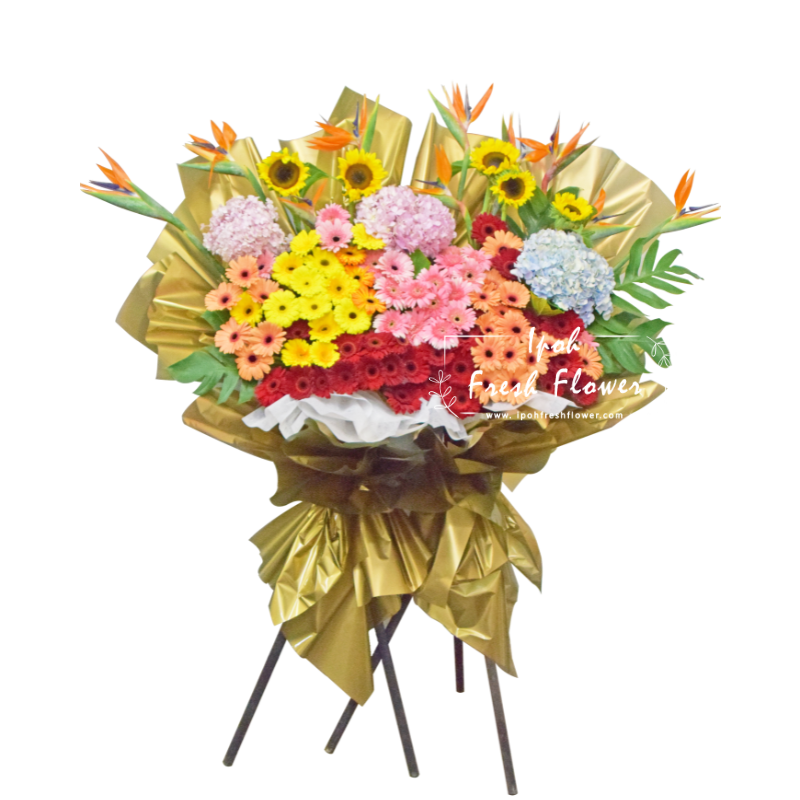 Propitious Startup| Fresh Flower Grand Opening Stand