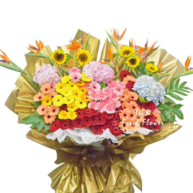 Propitious Startup| Fresh Flower Grand Opening Stand