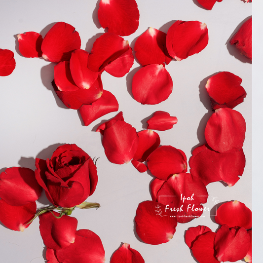 Red Roses Petals| Add On Gift Ipoh Taiping| Perak Florist
