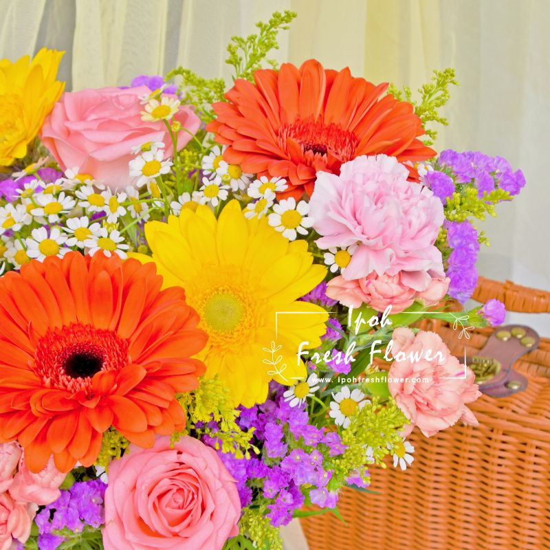 Sheila Vase Arrangement| Fresh Flower In A Vase| Same Day Delivery