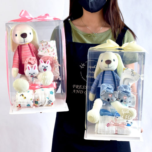 Welcom Baby Gift| New Born Baby Gift & Hamper Same Day Delivery