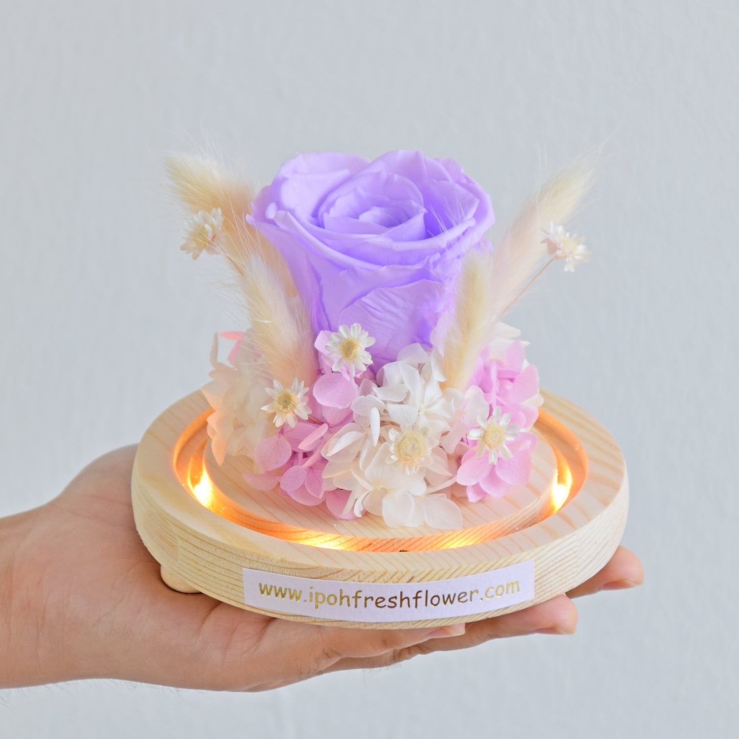 Zoe Preserved Flower Globe| Preserved Flowers Gift Delivery