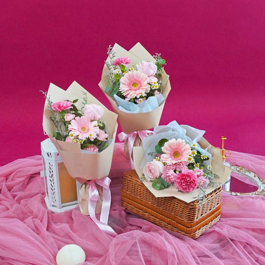 3 in 1 Petite Bundle| Same Day Delivery Ipoh