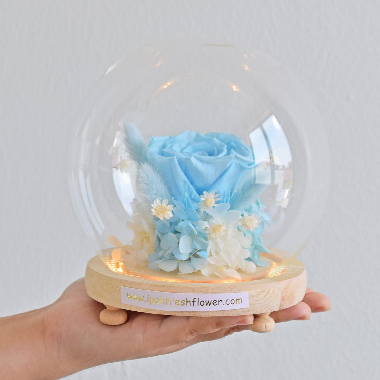 Aqua Preserved Flower Globe| Preserved Flowers Gift Delivery