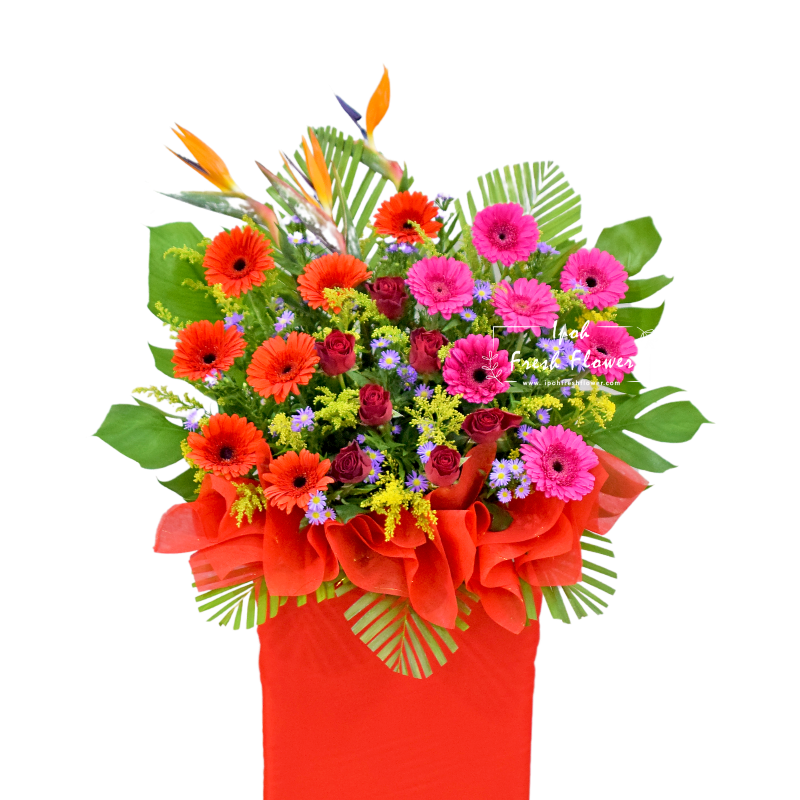 Ascension| Fresh Flower Grand Opening Stand| Same Day Delivery