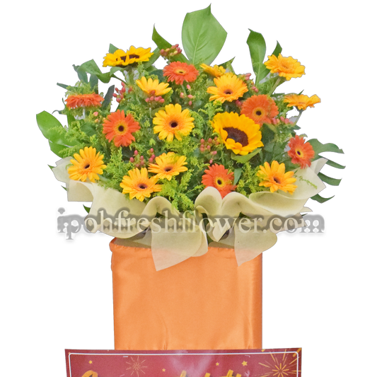 Best Future| Fresh Flower Grand Opening Stand| Free Delivery