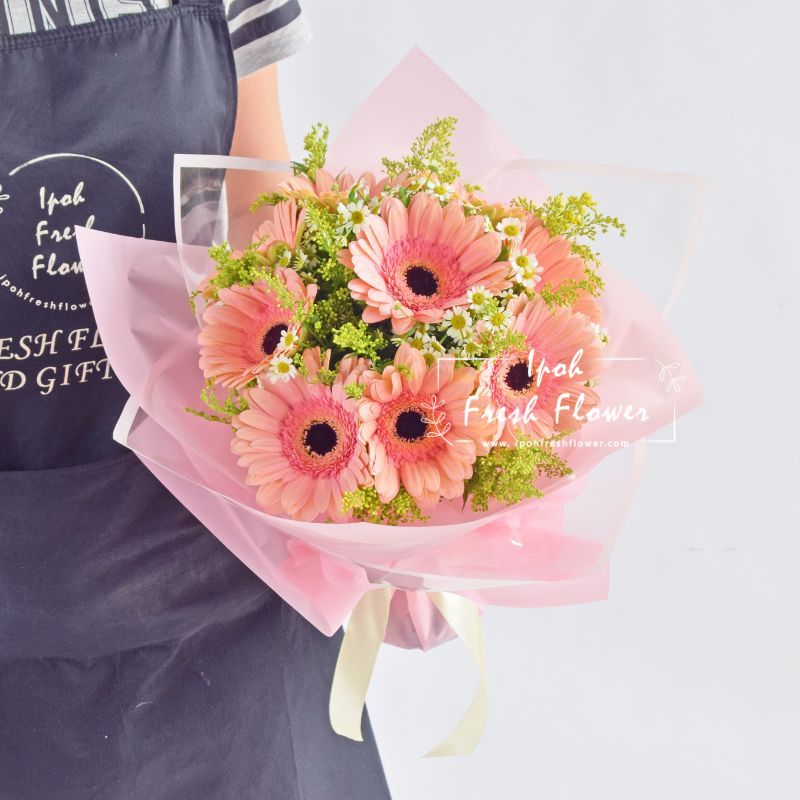 Blush Blooms| Daisy Fresh Flower Bouquet Delivery