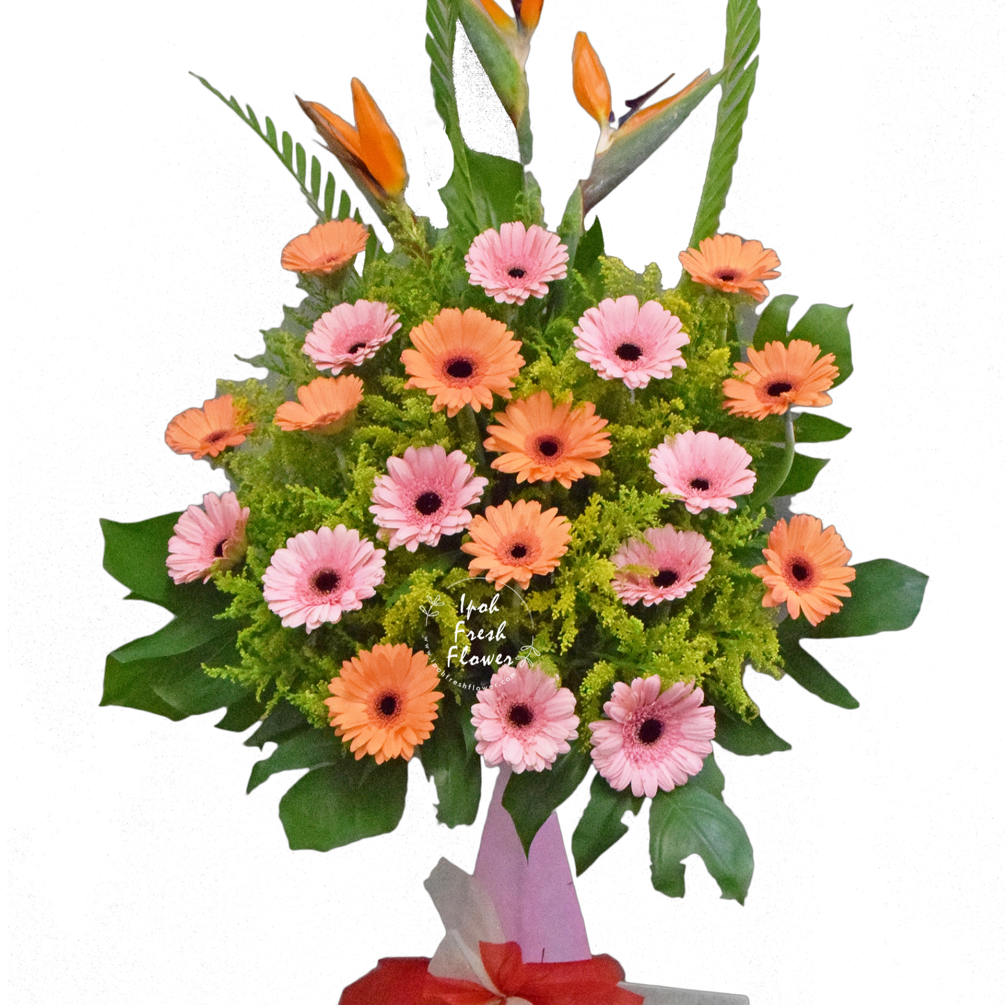 Brighter Start| Fresh Flower Grand Opening Stand| Free Delivery