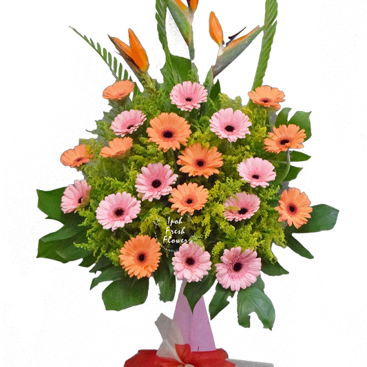 Brighter Start| Fresh Flower Grand Opening Stand| Free Delivery