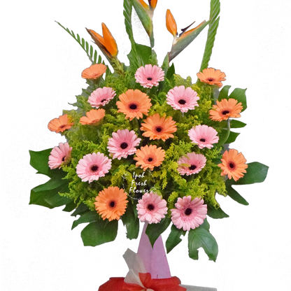 Brighter Start| Fresh Flower Grand Opening Stand| Free Delivery