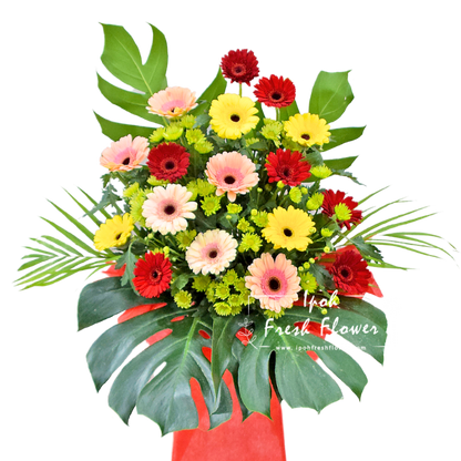 Brighter Start| Fresh Flower Grand Opening Stand| Same Day Delivery