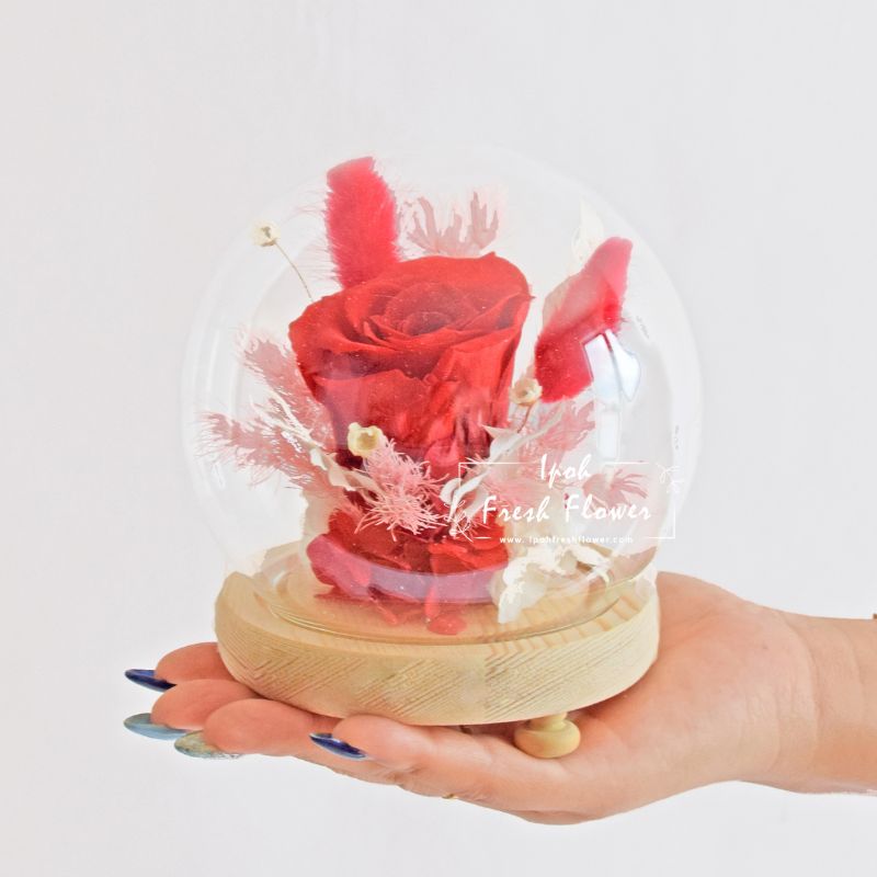 Charlis Preserved Flower Globe| Preserved Flowers Gift Delivery