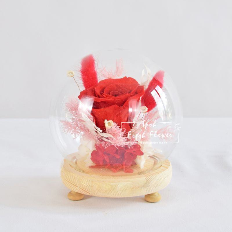 Charlis Preserved Flower Globe| Preserved Flowers Gift Delivery