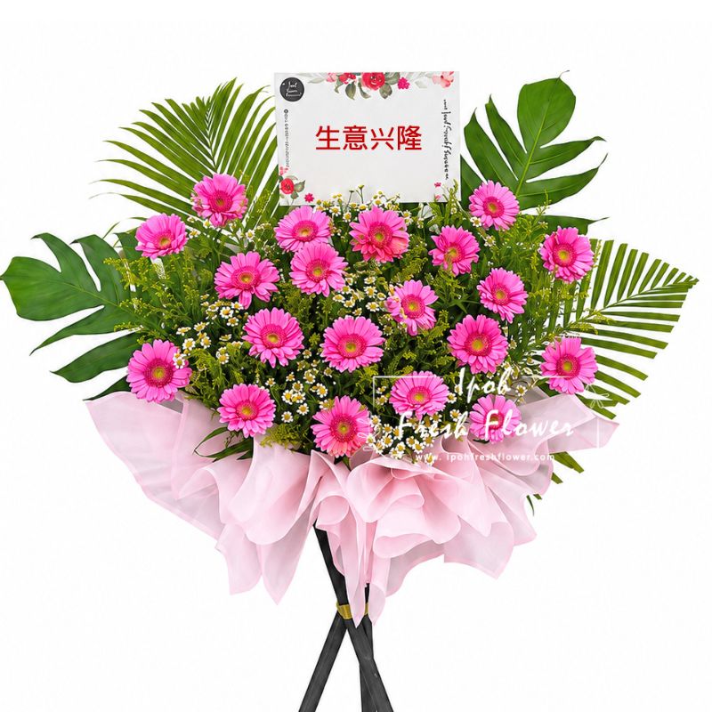 炽热的成功