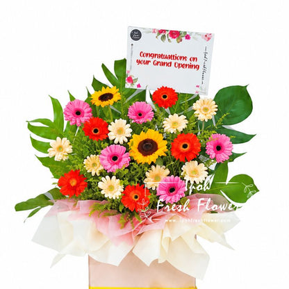Joyful| Fresh Flower Grand Opening Stand| Same Day Delivery Ipoh