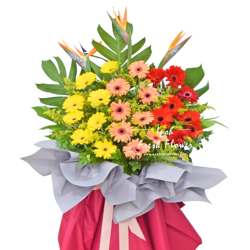 Joyful| Fresh Flower Grand Opening Stand