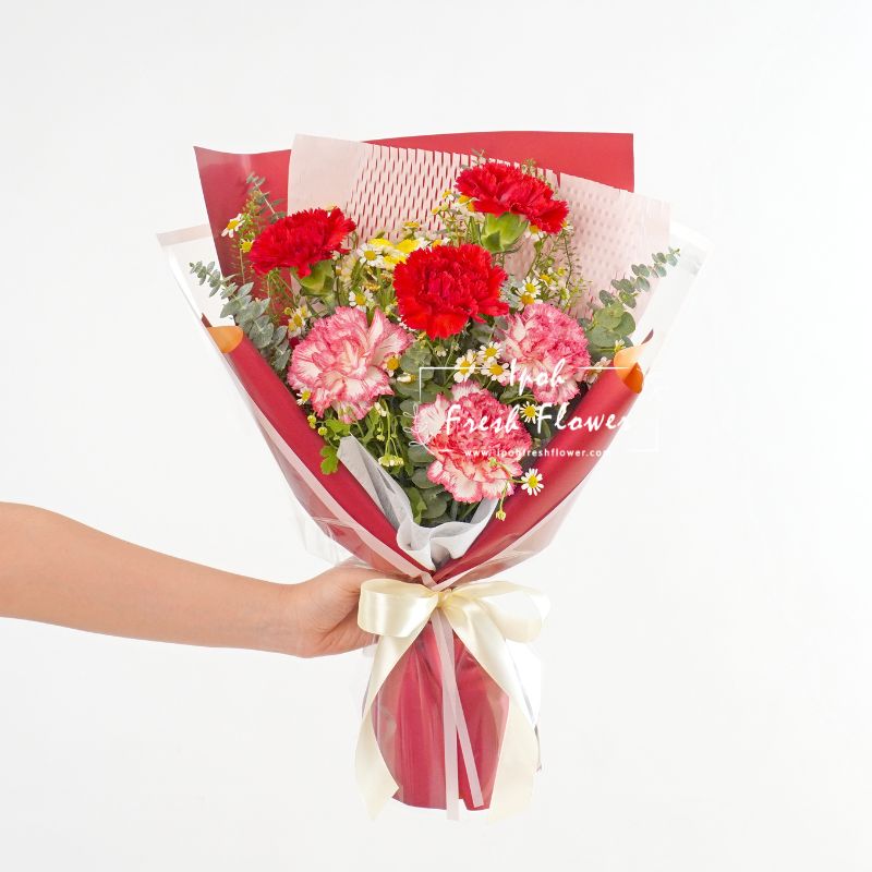 Lovelle Mother's Day Special | Carnation Fresh Flower Bouquet| Same Day Delivery