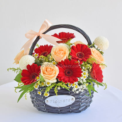 Macie| Fresh Flower Basket| Same Day Delivery