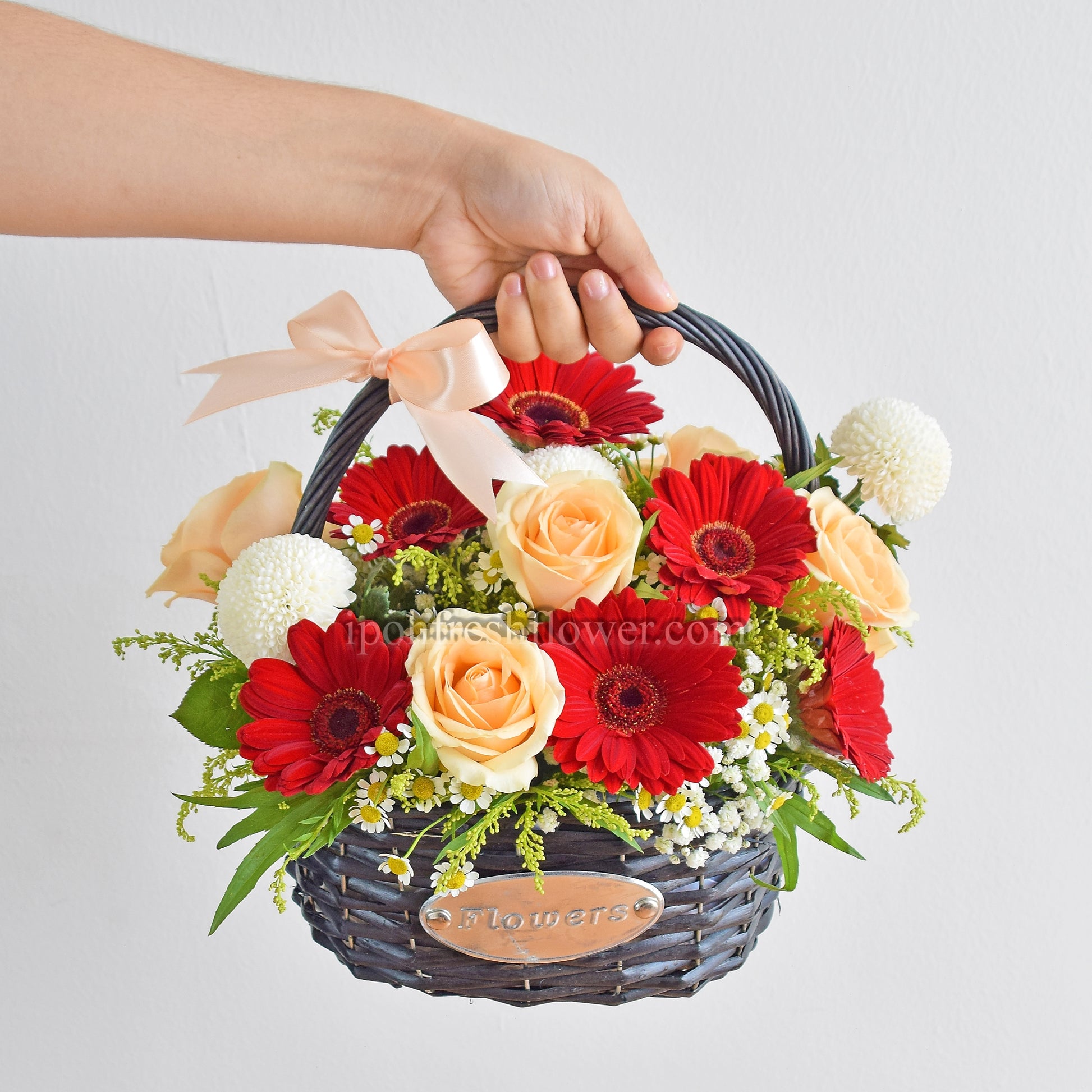 Macie| Fresh Flower Basket| Same Day Delivery