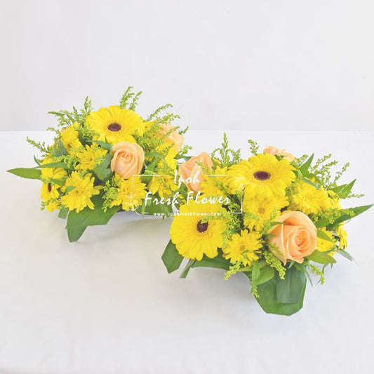 Maranta Posy| Prayer Flower Arrangement| Same Day Delivery