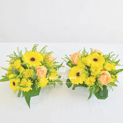 Maranta Posy| Prayer Flower Arrangement| Same Day Delivery