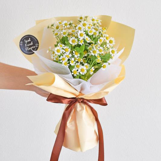Mini chamomile Petite Fresh Flower Bouquet |Same Day Delivery