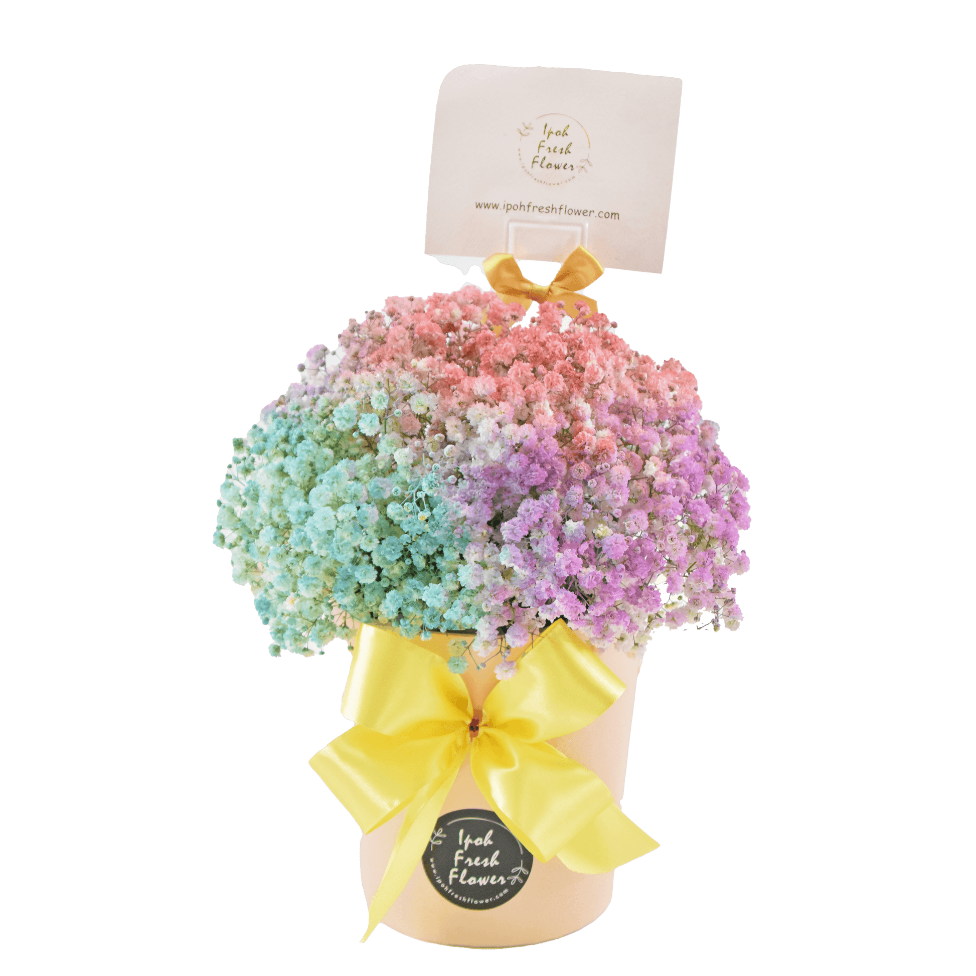 Becca| Fresh Flower Bloom Box