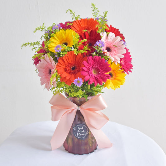 Blush Clush Daisy Vase Arrangement| Fresh Flower In Vase