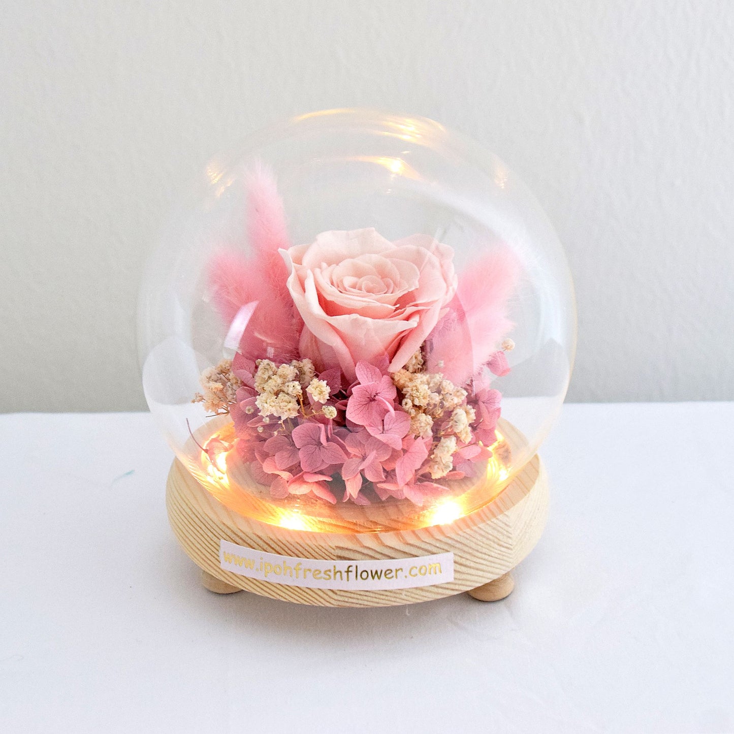 Diane Preserved Flower Globe| Preserved Flowers Gift Delivery