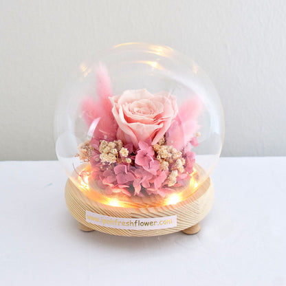 Diane Preserved Flower Globe| Preserved Flowers Gift Delivery
