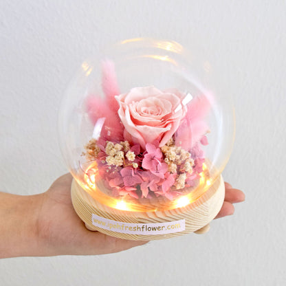 Diane Preserved Flower Globe| Preserved Flowers Gift Delivery