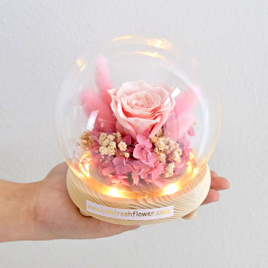 Diane Preserved Flower Globe| Preserved Flowers Gift Delivery