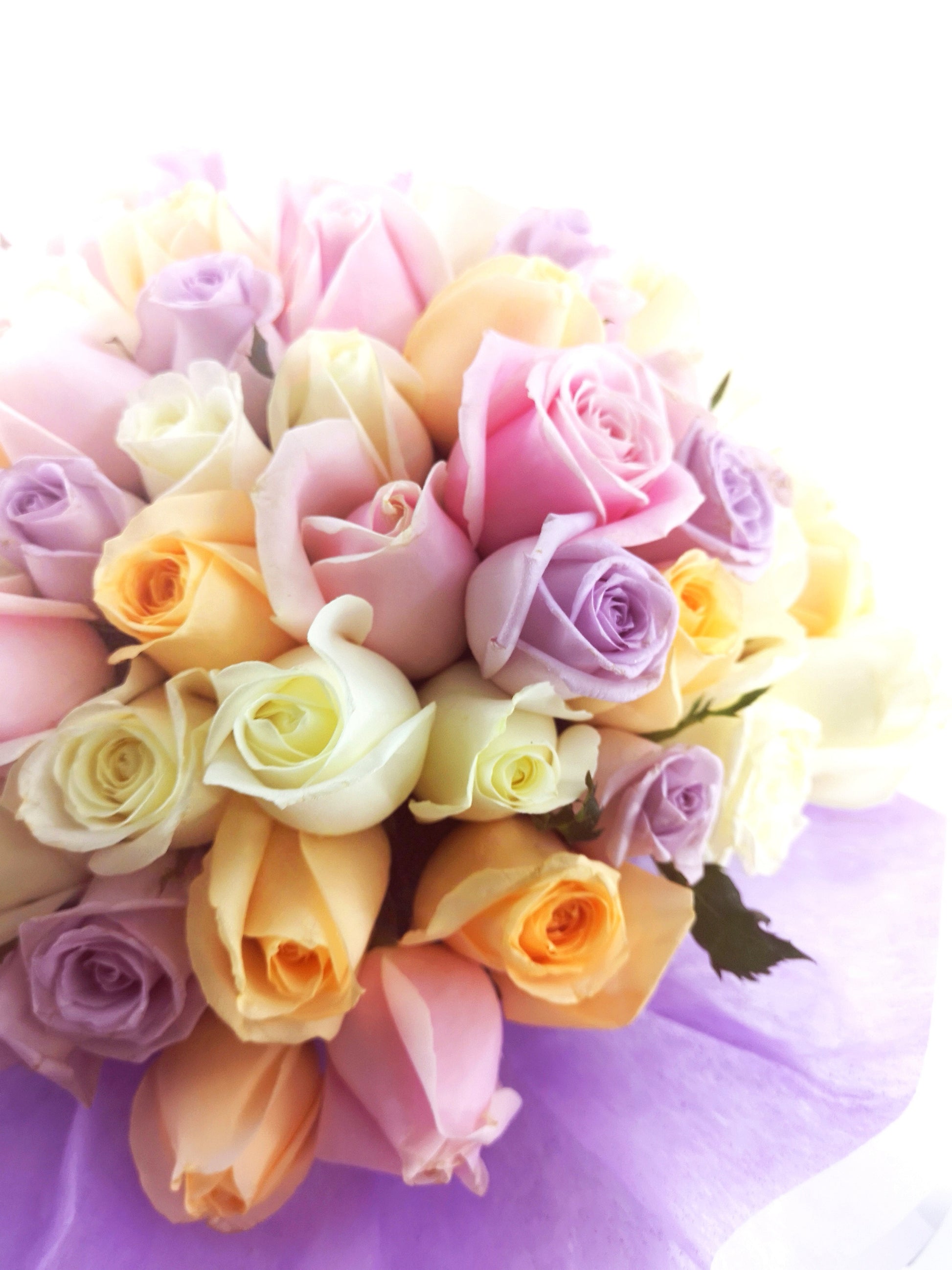 99 Pastel Roses| Fresh Flower Bouquet Delivery
