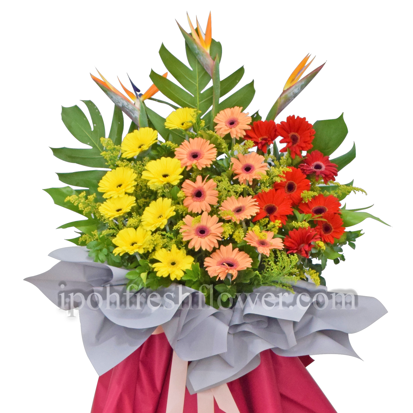 Joyful| Fresh Flower Grand Opening Stand