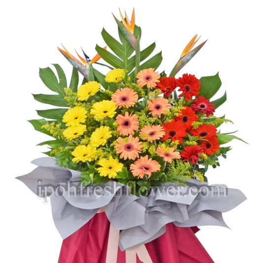 Joyful| Fresh Flower Grand Opening Stand